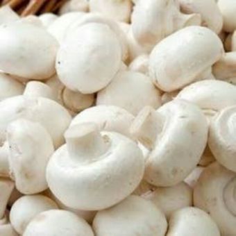Garlic Mushroom-1x6Kg02